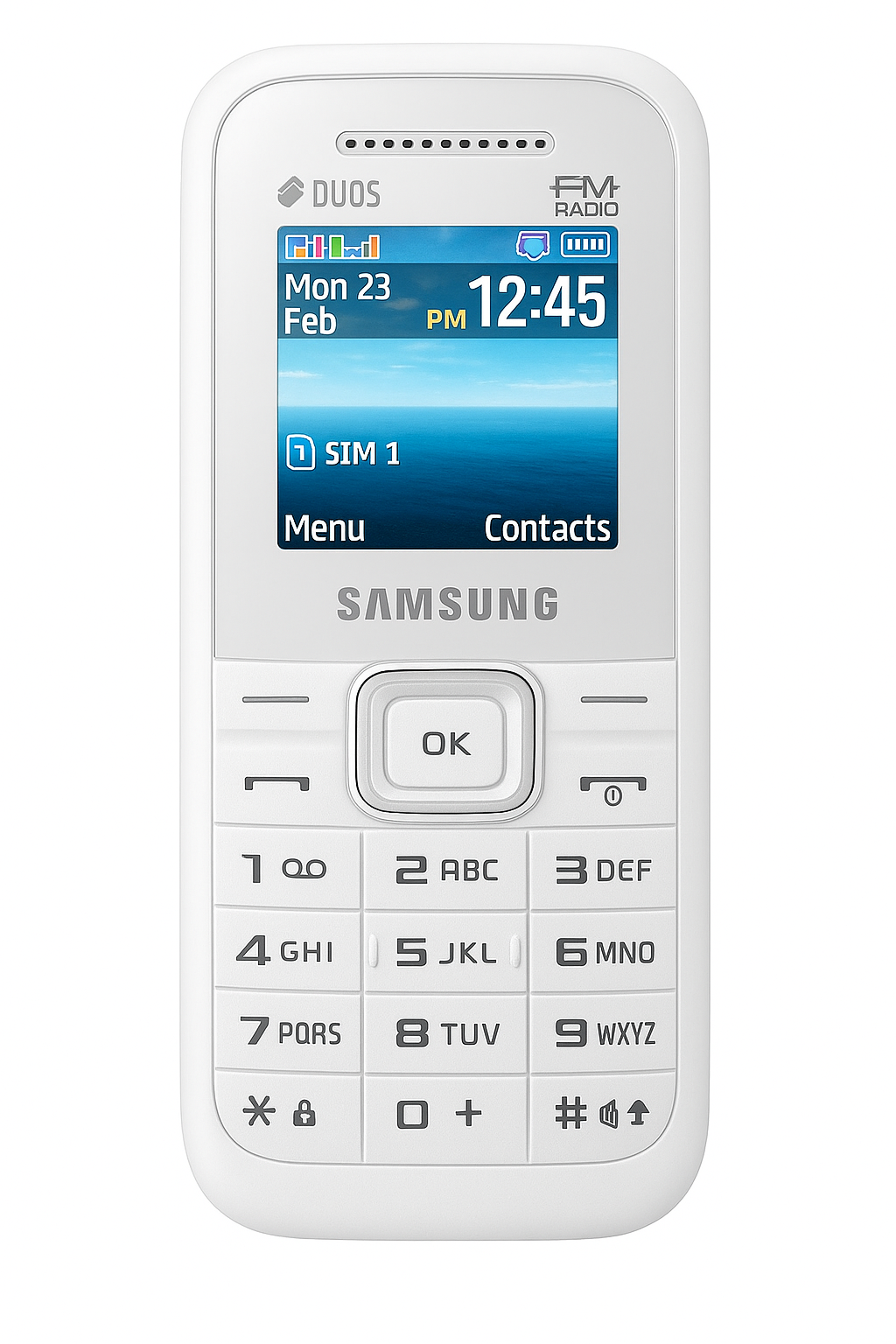 Samsung Guru FM Plus  (Black)