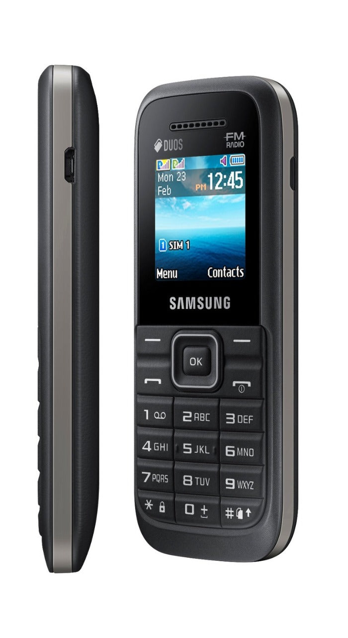 Samsung Guru FM Plus  (Blue)