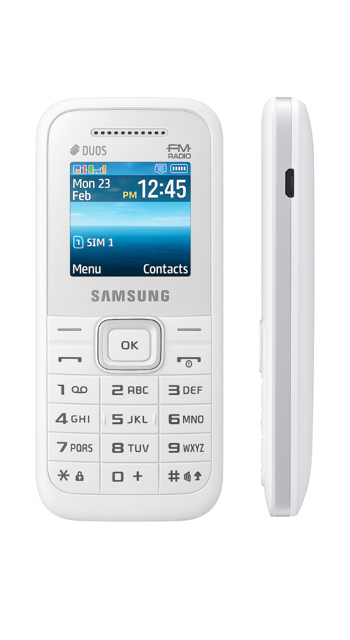 Samsung Guru FM Plus  (Blue)